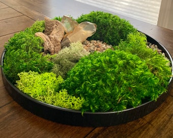 Moss and Rock Decor
