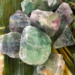 May include: A collection of green, purple, and blue fluorite crystals on a green leaf. The crystals are rough and have a natural, unpolished look.