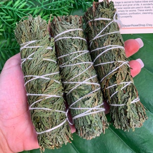 CEDAR SAGE Smudge Stick | Sage Bundle for Ceremony, Meditation, Altar, Home Cleansing, Cleanse, Wicca Smudging Kit | Cedar Smudge Mayan Rose