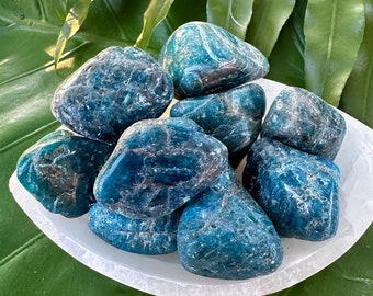 APATITE (LARGE PREMIUM Grade A Natural) Tumbled Polished Blue Crystals Stone Gemstone Crystal for Healing, Yoga, Meditation, Reiki, Wicca,