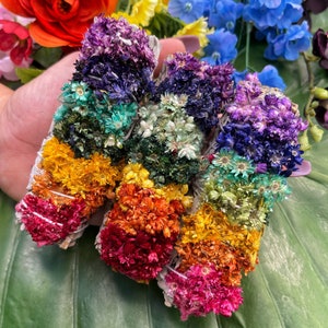 Bâtonnet de maculage arc-en-ciel à la sauge blanche | Lot de 7 chakras sauge | Cérémonie, rituel, autel de méditation, wicca | Sauge chakra, tache florale