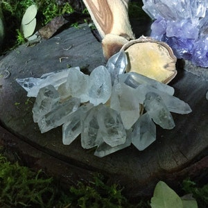 May include: A cluster of clear quartz crystals on a wooden surface with moss and greenery in the background.