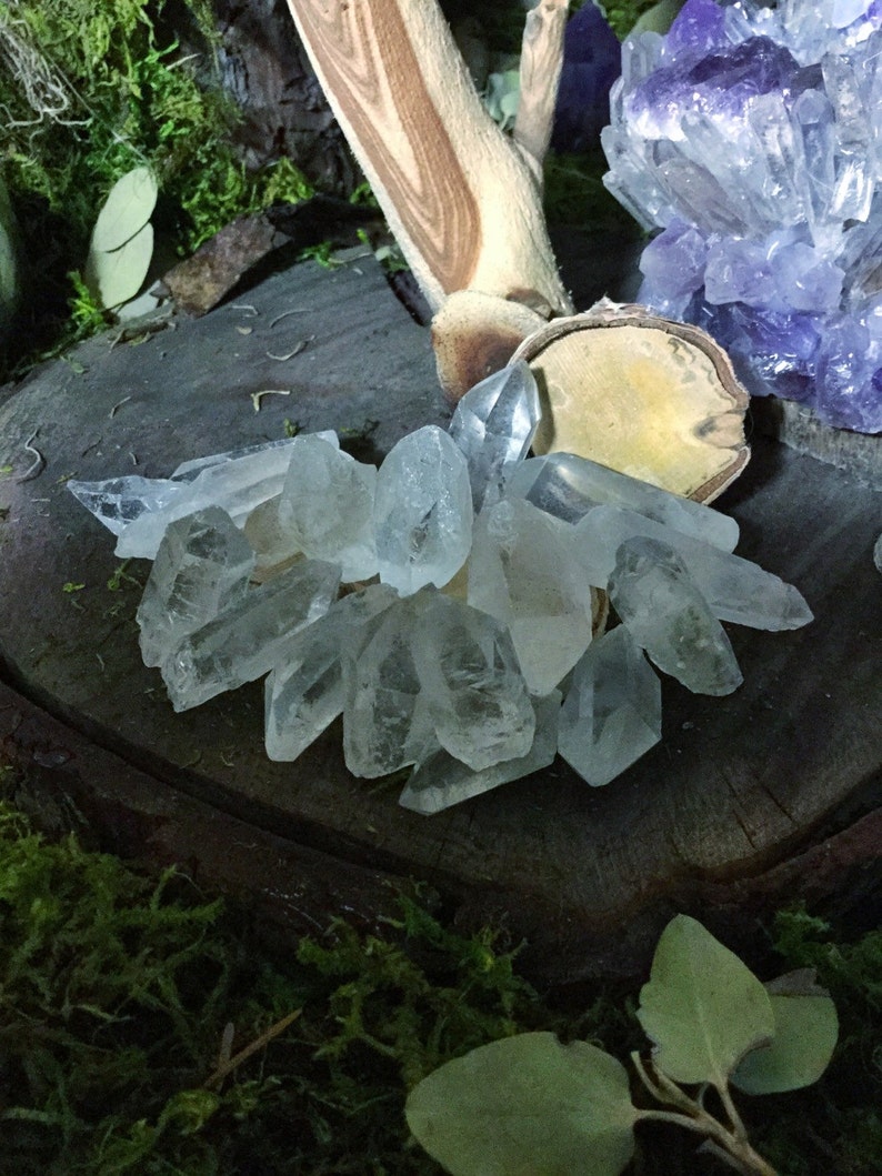 May include: A cluster of clear quartz crystals on a wooden surface with moss and greenery in the background.