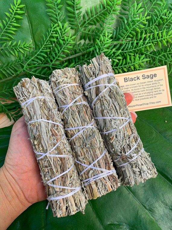 BLACK SAGE Smudge Stick aka Mugwort Sage Bundle for Etsy