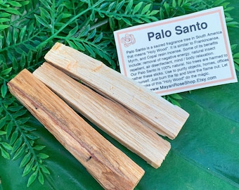 PALO SANTO Sticks | Holy Wood for Ceremony, Meditation, Altar, Home Cleansing, Positive Energy, Cleanse | Mayan Rose