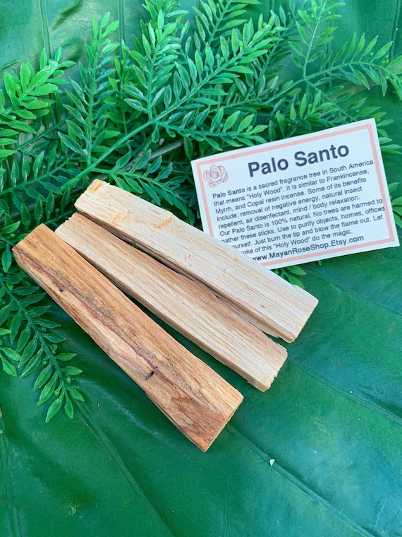 PALO SANTO Sticks | Holy Wood for Ceremony, Meditation, Altar, Home Cleansing, Positive Energy, Cleanse | Mayan Rose