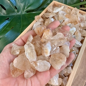 Wholesale Citrine Crystals, Bulk Rough Citrine Crystal Lot by Ounces or Pound, Natural Raw Yellow Citrine. Select 4oz, 8oz, 1lb, 2lbs