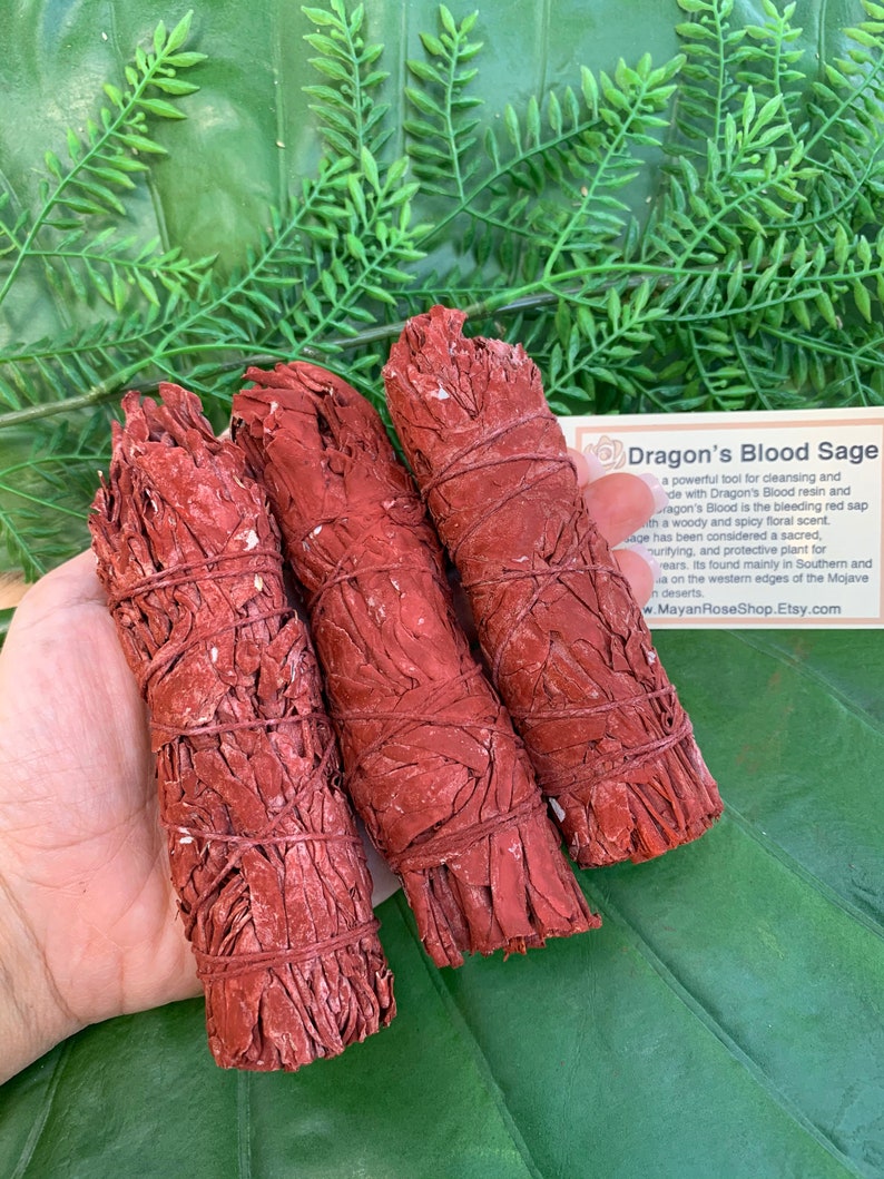 Dragon S Blood Sage Smudge Stick Sage Bundle For Etsy Dragon S Blood Sage Smudge Stick Sage Bundle For Etsy