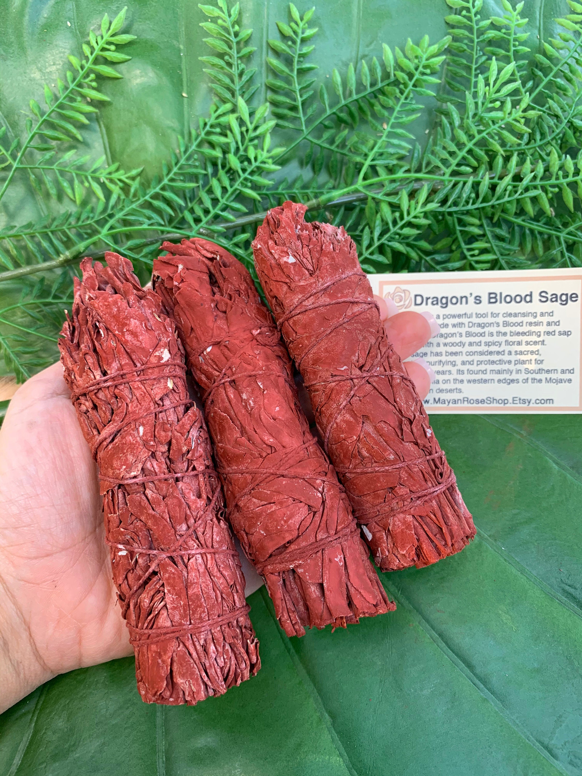 Dragon S Blood Sage Smudge Stick Sage Bundle For Ceremony Meditation Altar Home Cleansing Wicca Smudging Kit Mayan Rose