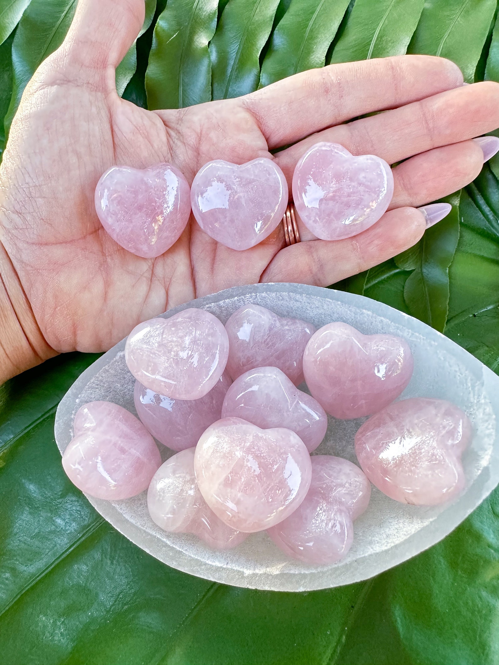 Polished heart-shaped Rose Quartz stones held in a hand and arranged in a bowl, used for Taurus zodiac energy, with a green leaf background.