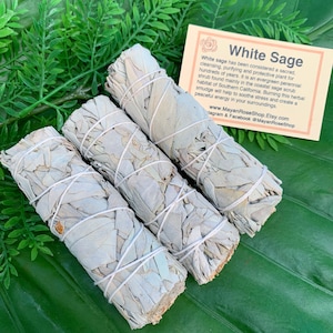 WHITE SAGE SMUDGE Stick | Sage Bundle for Ceremony, Meditation Altar, Home Cleansing, Positive Energy, Smudging, Wicca | Mayan Rose