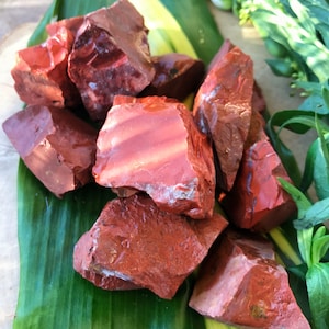 May include: A collection of red jasper rough stones, with a natural, raw, and unpolished finish. The stones are arranged on a green leaf with a yellow stripe.