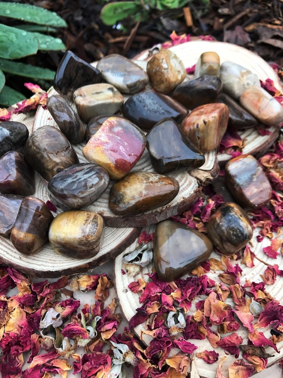 PETRIFIED WOOD Fossil (grade A Natural) Tumbled Polished
