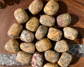 LEOPARD SKIN JASPER (Grade A Natural) Tumbled Polished Stones Gemstone Rocks for Healing, Yoga, Meditation, Reiki, Crafts, Jewelry Supplies