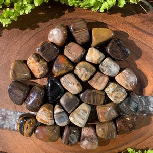 May include: A collection of tumbled petrified wood stones in various shades of brown, black, and white. The stones are smooth and polished, with intricate patterns and textures.