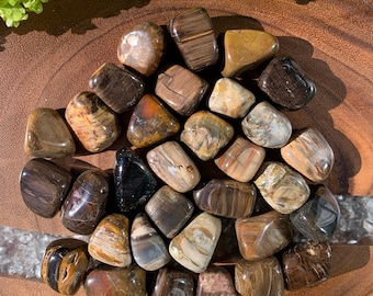 PETRIFIED WOOD Fossil (Grade A Natural) Tumbled Polished Fossilized Wood CHALCEDONY Gemstone Rocks for Healing, Yoga Meditation Reiki Wicca