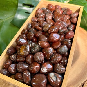 Wholesale Petrified Wood Tumbled Crystals, Bulk Lot of Polished Petrified Wood, Natural Petrified Wood Gemstones. 4oz, 8oz, 1lb, 2lbs