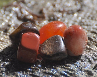 Abundance & Creativity Crystals | Carnelian, Bronzite, Sunstone, Tiger Eye, Red Jasper | 2nd Chakra Crystal Set | Tumbled Polished Stones