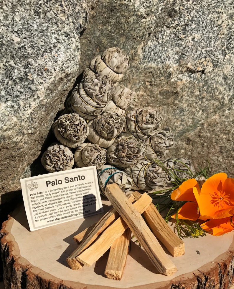 May include: A bundle of white sage smudge sticks and a pile of Palo Santo sticks. The text on the card reads "Palo Santo is a sacred fragrance tree in South America that means "Holy Wood." It is similar to Frankincense, Myrrh, and Copal resin incense. Some of its benefits include, removal of negative energy, natural insect repellent, air disinfectant, mind/body relaxation. Our Palo Santo is 100% natural. No trees are harmed to gather these sticks. Use to purify objects, spaces, and yourself. Just burn the tip and blow the flame out. Let the smoke of this "Holy Wood" do the magic. www.MayanRoseShop.Etsy.com"