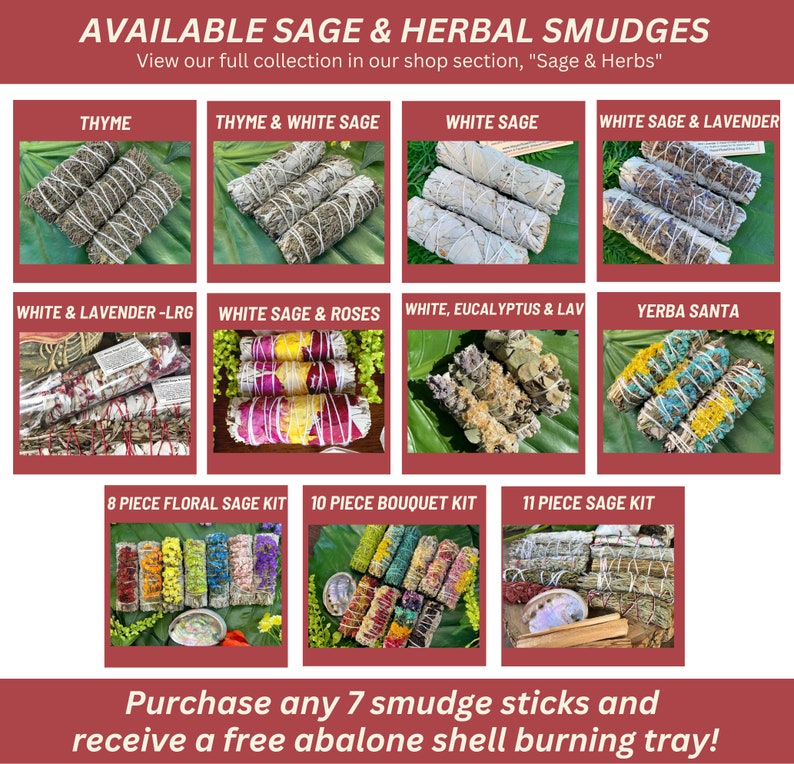 WHITE SAGE & CEDAR Smudge Stick Sage Bundle for Ceremony, Meditation, Altar, Home Cleansing, Energy, Wicca Smudge Kit Mayan Rose image 7