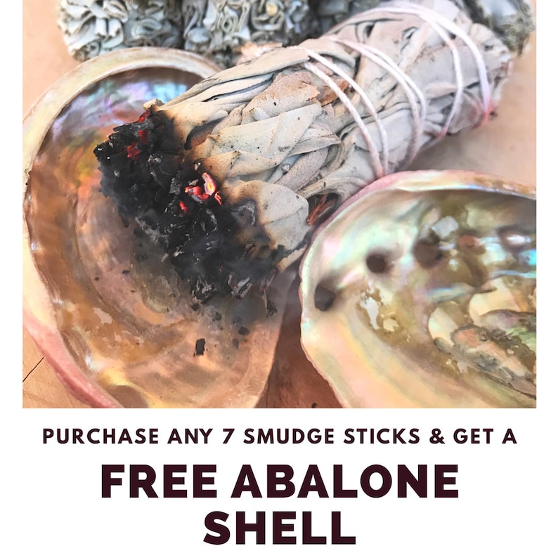 May include: A white sage smudge stick burning in an abalone shell.  PURCHASE ANY 7 SMUDGE STICKS & GET A FREE ABALONE SHELL.