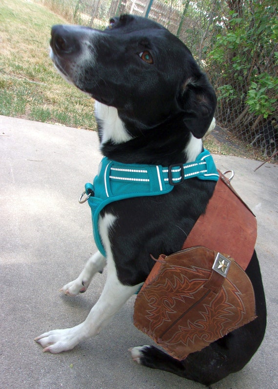 How Does A Backpack Help A Dog