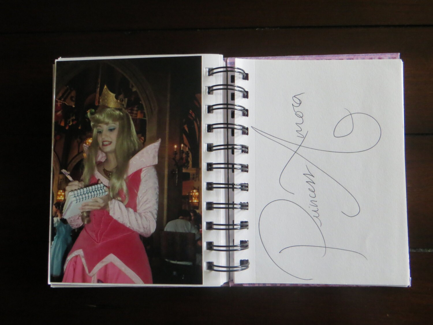 Personalized Disney Autograph & Photo Book Disney Fairies Etsy