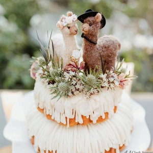 Alpaca Bride Groom - Unique Wedding Cake Topper for Llama Lovers - Fun Alternative for a Boho, Rustic, Country, or Barn Wedding - Great Gift