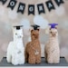 see more listings in the Special Occasion Alpacas section