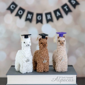 Alpaca Graduation Gift, Llama Lover Grad, Card Alternative, Handmade Fiber Alpaca