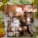 see more listings in the Bird Nesting Materials section