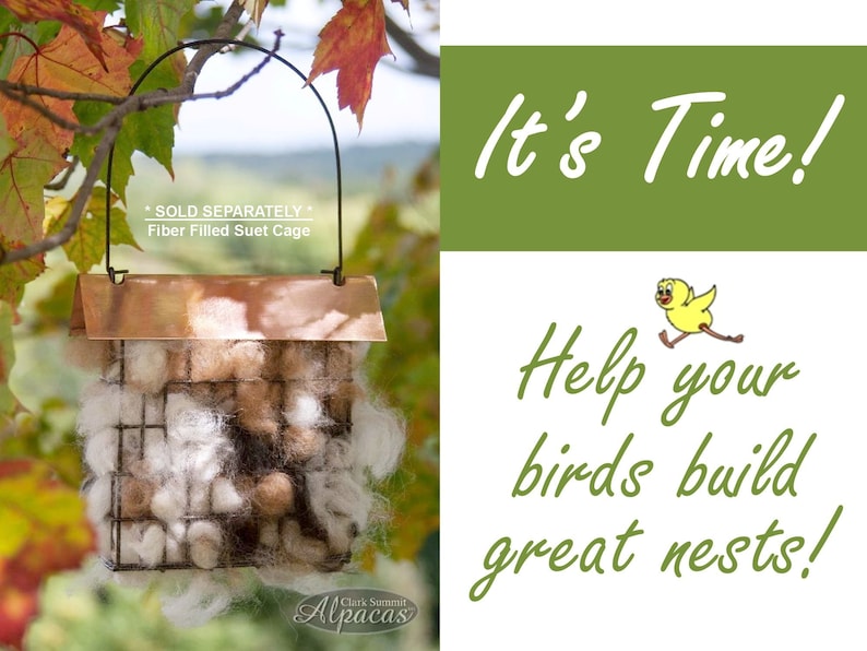2 Pack Bird Nesting Materials - Natural Alpaca Fiber Wool for Suet Cage or Grapevine Ball - 2 Quart Size Bags - Unique Gift for Bird Lovers image 10