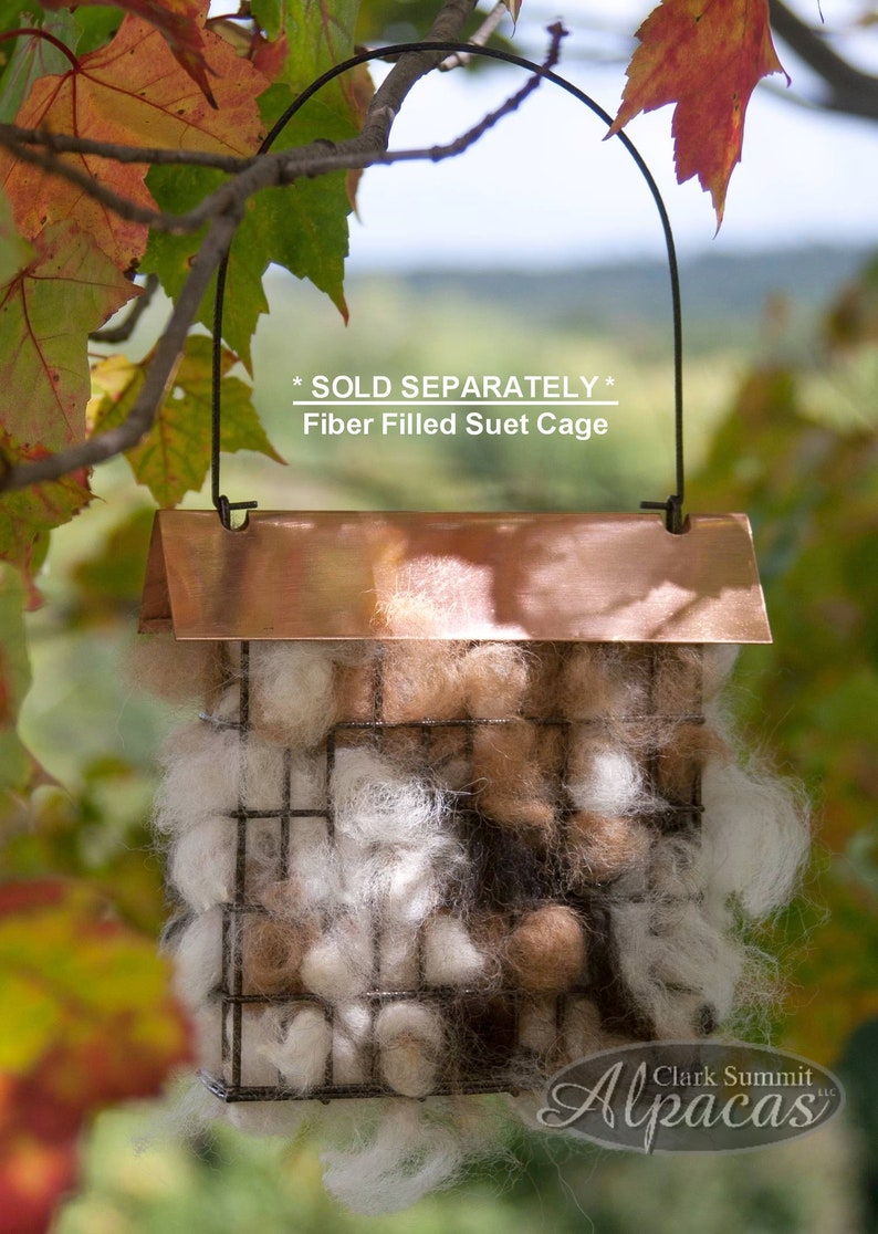 2 Pack Bird Nesting Materials - Natural Alpaca Fiber Wool for Suet Cage or Grapevine Ball - 2 Quart Size Bags - Unique Gift for Bird Lovers image 6
