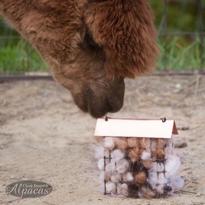 May include: A brown alpaca with a white and brown fluffy house-shaped feeder. The alpaca is looking at the feeder. The feeder is made of wire and has a copper roof.