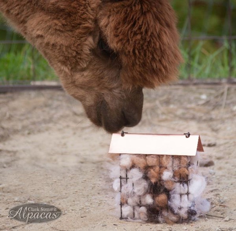 May include: A brown alpaca with a white and brown fluffy house-shaped feeder. The alpaca is looking at the feeder. The feeder is made of wire and has a copper roof.