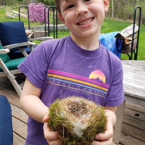 May include: A young person wearing a purple t-shirt with the text "Bryce Canyon National Park" printed on it, is holding a bird's nest in their hands. The nest is made of twigs and moss and is empty.