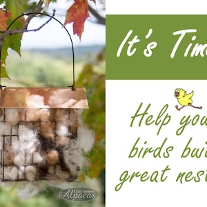 May include: A copper bird nesting material feeder filled with alpaca fleece hangs from a tree branch. The feeder has a wire mesh design and is surrounded by fall foliage. The text "It's Time! Help your birds build great nests!" is written on a green background.