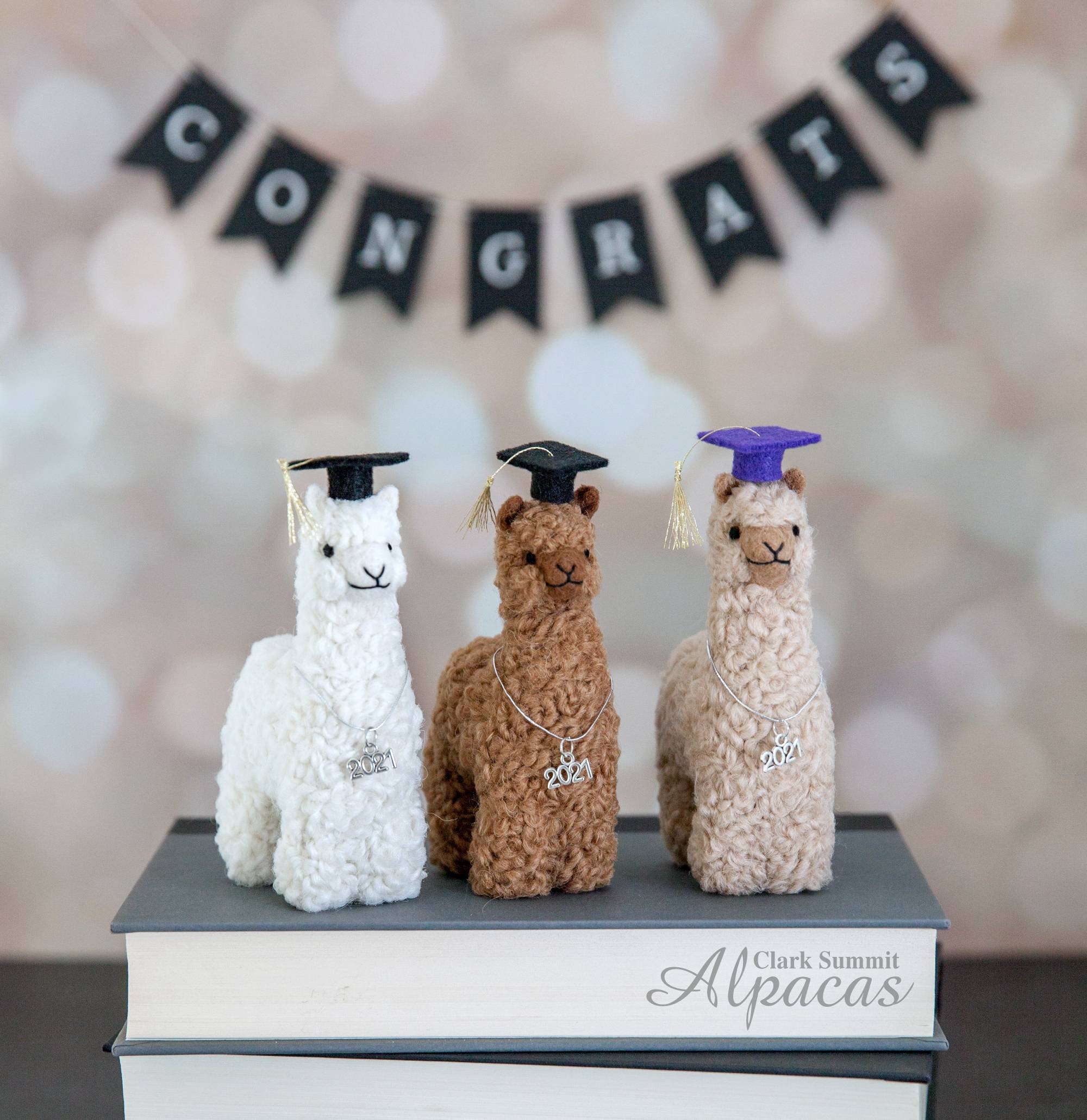 Unique Grad Gift Real Alpaca Fiber Commencement Ornament Includes Graduation Cap Hat and 2021 Charm Little Llama Alpaca Graduate