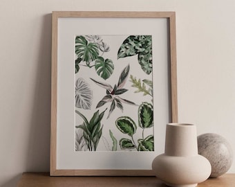 Affiche illustrations végétales Les Plantes II