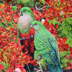 King Parrots and Poinciana Australian Fine Art Print image 1