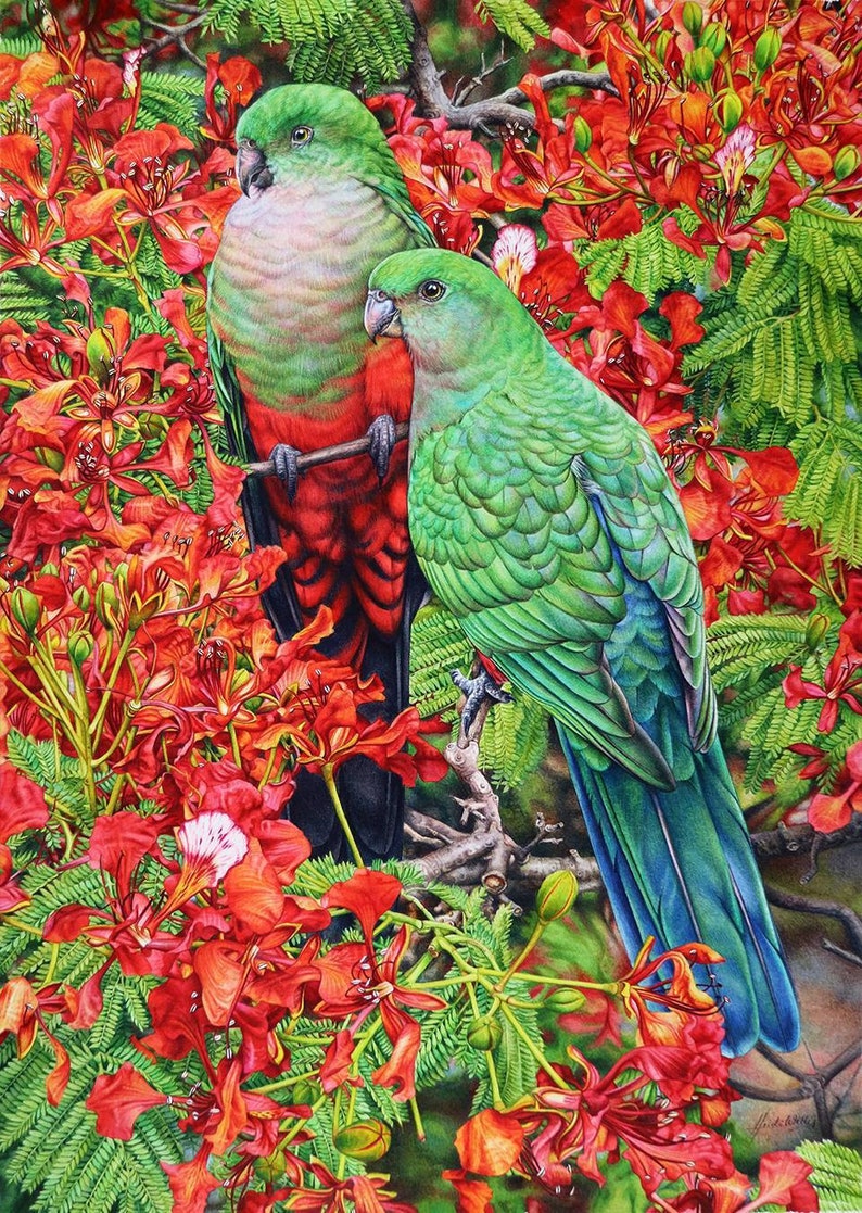 King Parrots and Poinciana Australian Fine Art Print image 1
