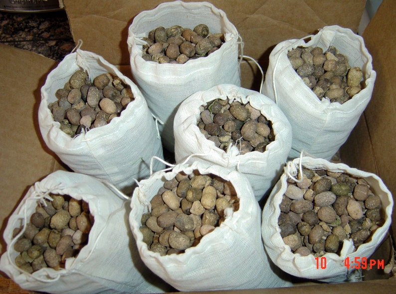 Navajo-Churro Organic Sheep Manure 4x6 Tea Bags Make Organic Manure Compost Tea FREE SHIPPING image 4