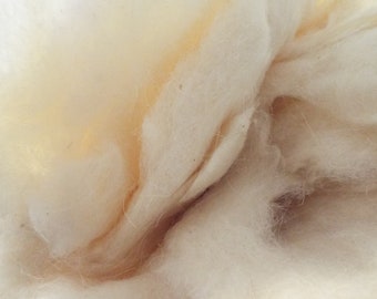Navajo-Churro Sheep Wool Roving - White - 6 Ounces