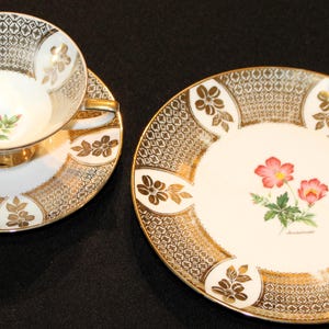 Winterling Rosiow Bavaria Germany Vintage Plate Cup Saucer Trio