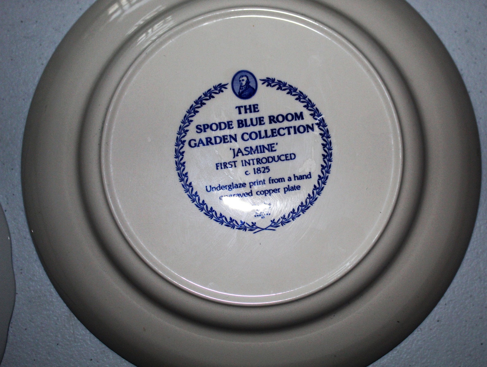 Spode Blue Room Collection Warwick Vase Plate & Jasmine Pasta Etsy