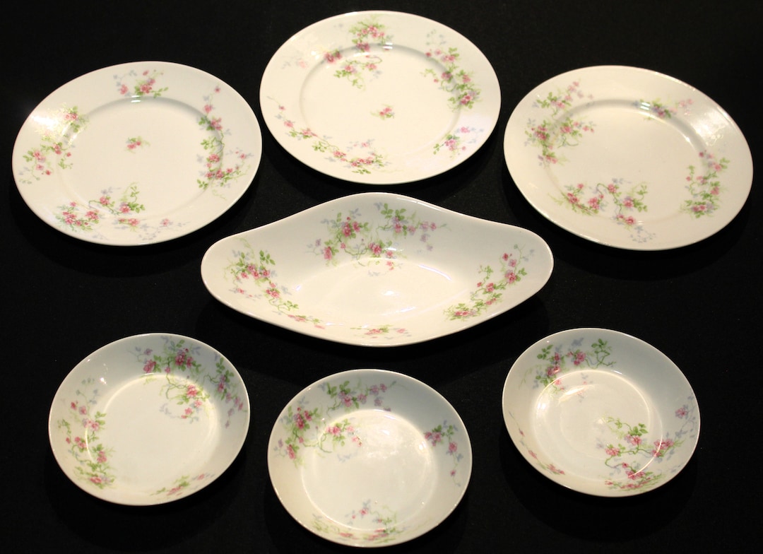 WM Guerin & Co Pattern GUE18 Limoges France Seven Piece Set - Etsy