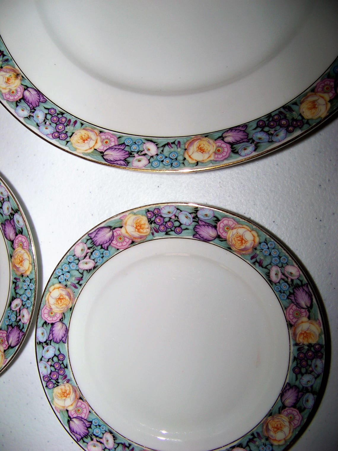 Thomas Bavaria Pattern 3091 Set of Nine Plates Etsy