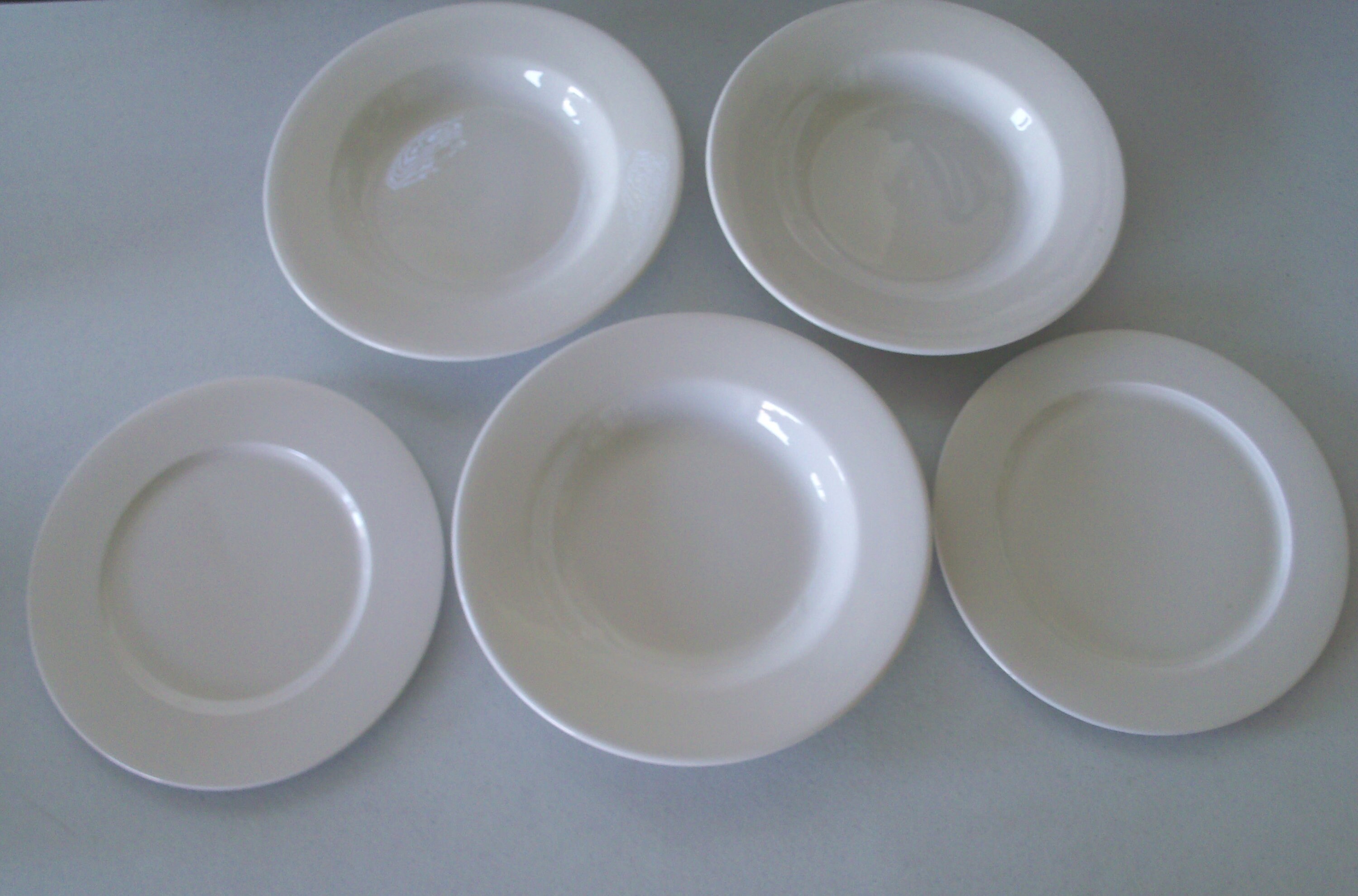 dudson dinner plates