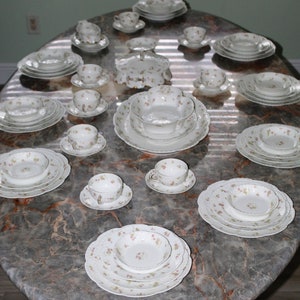 Haviland & Company Limoges France Antique 58 Piece Dinnerware Set