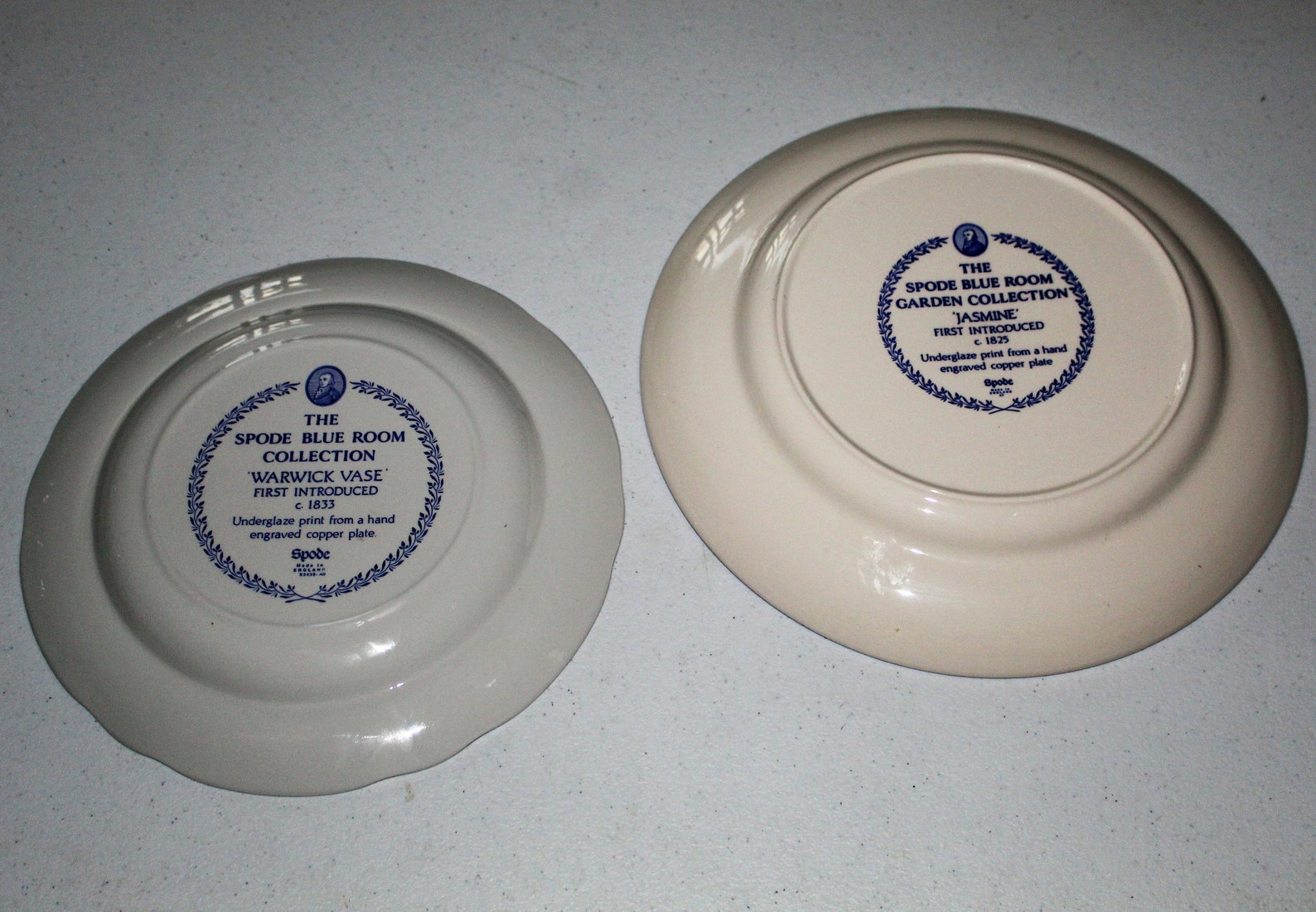 Spode Blue Room Collection Warwick Vase Plate & Jasmine Pasta Etsy